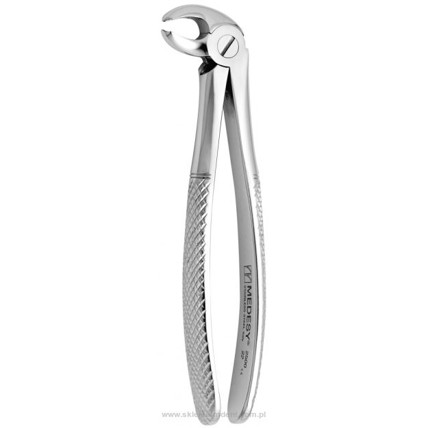 Kleszcze trzonowce dolne