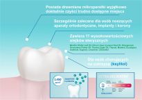 Pasta Pearls&Dents - 4